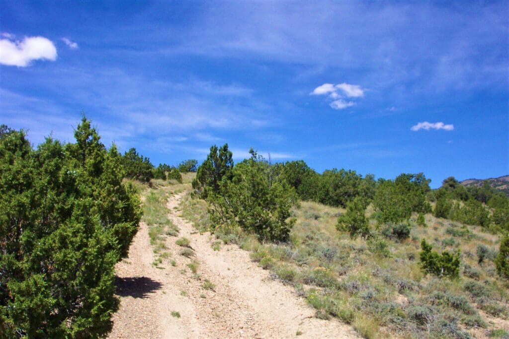 4.79 ACRES IN KLAMATH COUNTY, OREGON ~ GORGEOUS MINI RANCH IN THE MOUNTAINS WITH TREES, VIEWS AND WIDE OPEN SPACES photo 9