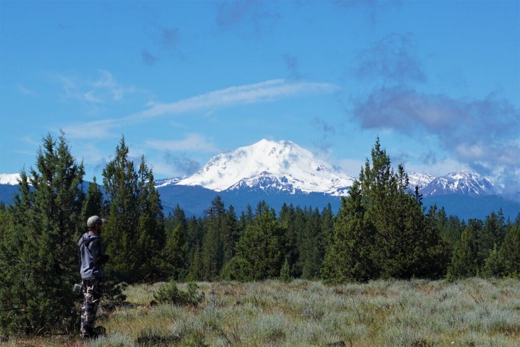 4.79 ACRES IN KLAMATH COUNTY, OREGON ~ GORGEOUS MINI RANCH IN THE MOUNTAINS WITH TREES, VIEWS AND WIDE OPEN SPACES photo 12