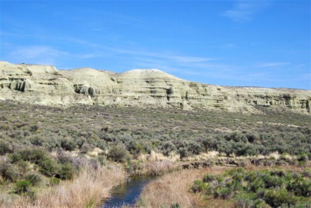 5.00 ACRES IN GORGEOUS EASTERN OREGON ~ LAND FOR SALE NEAR IDAHO AND NEVADA