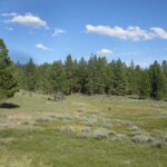 Thumbnail of 4.79 ACRES IN KLAMATH COUNTY, OREGON ~ GORGEOUS MINI RANCH IN THE MOUNTAINS WITH TREES, VIEWS AND WIDE OPEN SPACES Photo 4