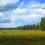 Thumbnail of 4.79 ACRES IN KLAMATH COUNTY, OREGON ~ GORGEOUS MINI RANCH IN THE MOUNTAINS WITH TREES, VIEWS AND WIDE OPEN SPACES Photo 2