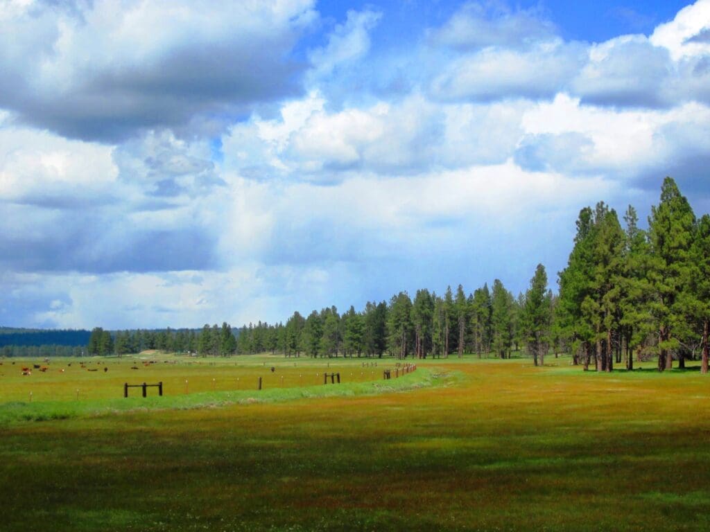 4.79 ACRES IN KLAMATH COUNTY, OREGON ~ GORGEOUS MINI RANCH IN THE MOUNTAINS WITH TREES, VIEWS AND WIDE OPEN SPACES photo 2