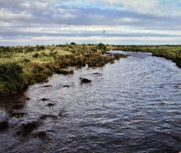 5.00 ACRES IN EDDY CO, NEW MEXICO ~ GORGEOUS RANCH WITH POND JUST EAST OF HOPE