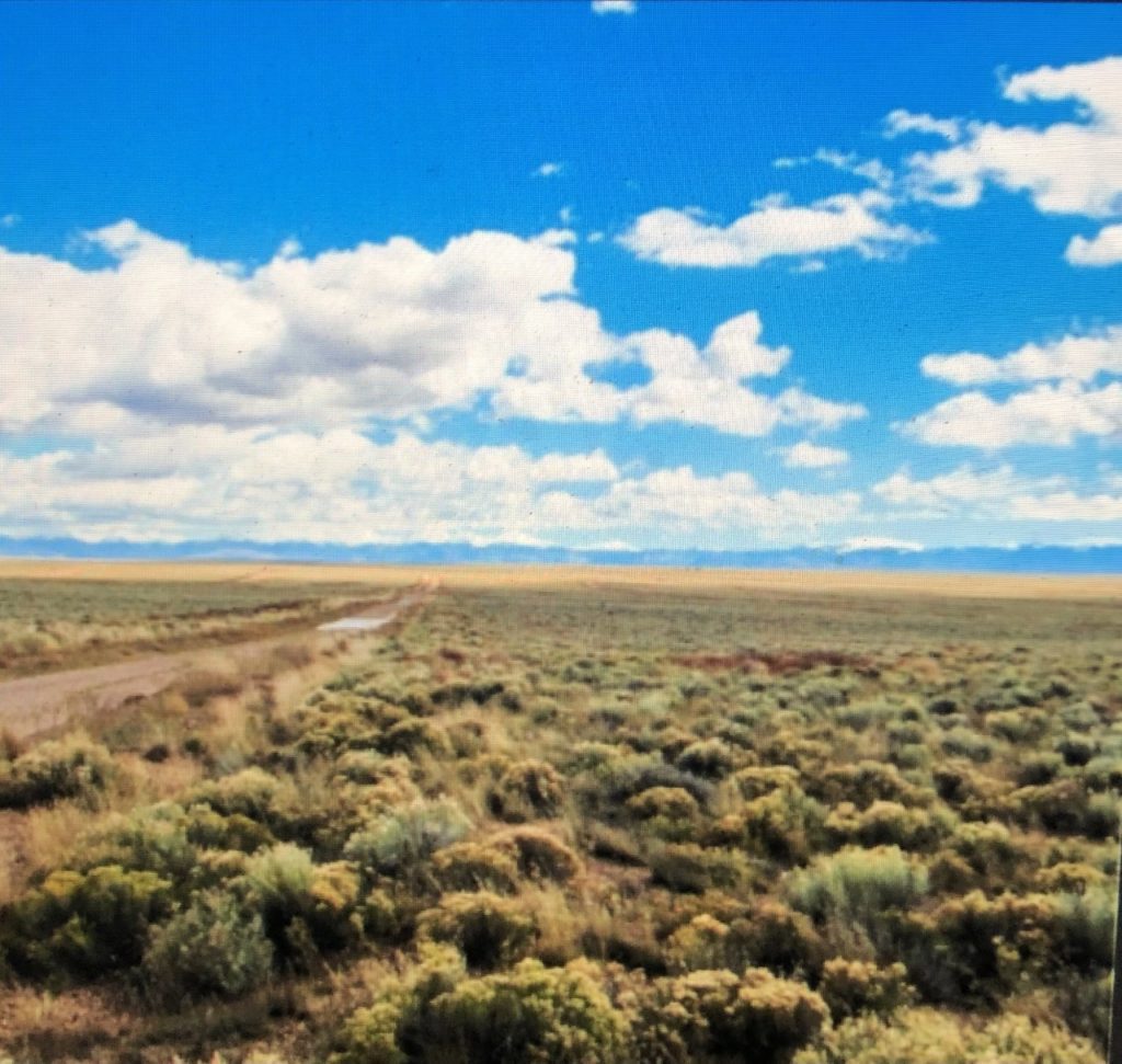 1.09 Secluded Lot in Iron County, Utah photo 3