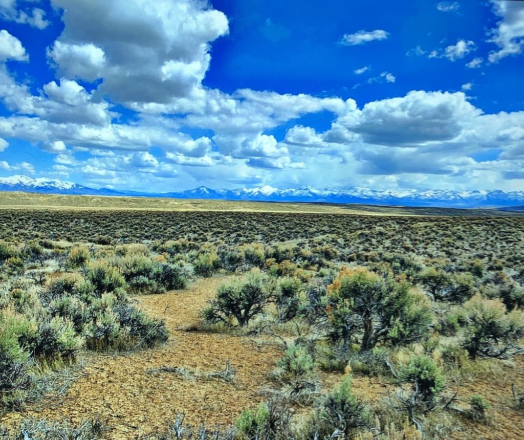 1.09 Secluded Lot in Iron County, Utah photo 6